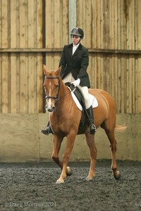 Isis Dressage Crown Farm Show 29th April 2012